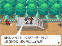 ポケモンbw2 新ジムリーダーチェレン情報